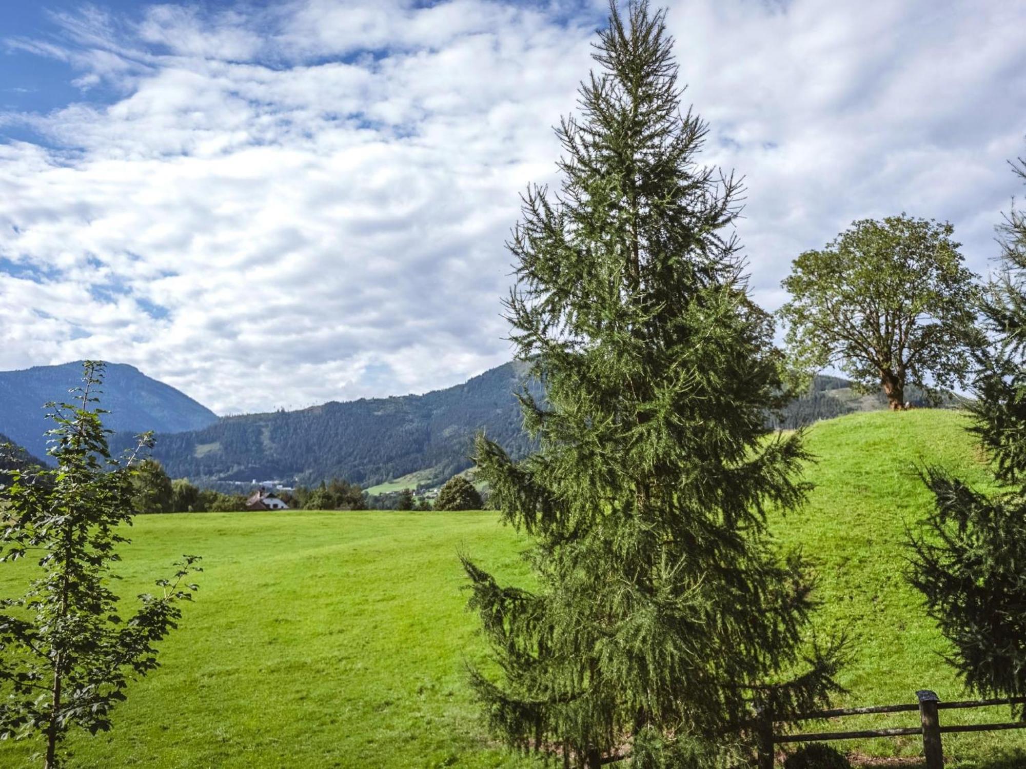 Naturpark Chalet Schladming-Dachstein Grosssolk Exterior foto